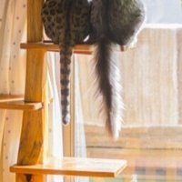 中村まどか Note