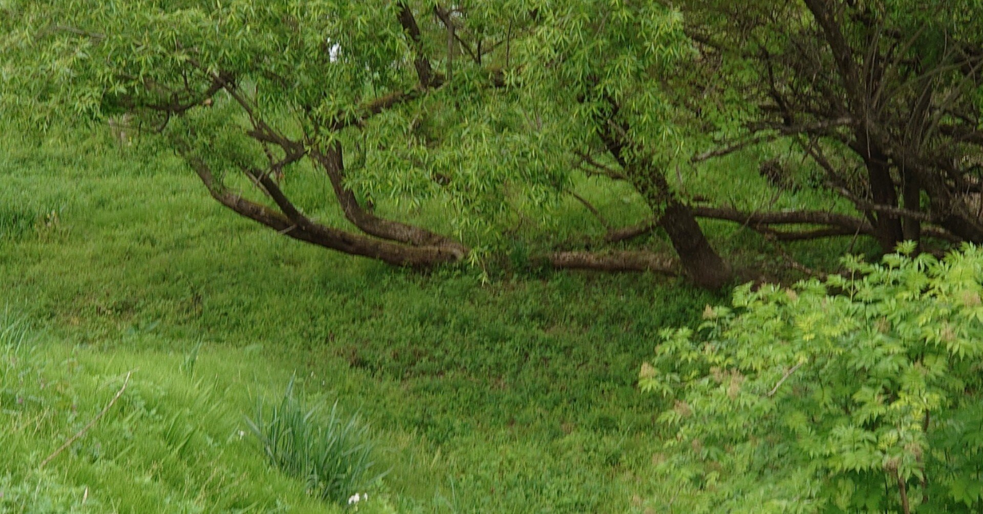 拝啓 蚯蚓の皆様 平素は大変お世話 になっております 植物 野菜一同 小手毬のつぶやき Note 拝啓 蚯蚓の皆様 平素は大変お世話 になっております 植物 野菜一同 小手毬のつぶやき Note