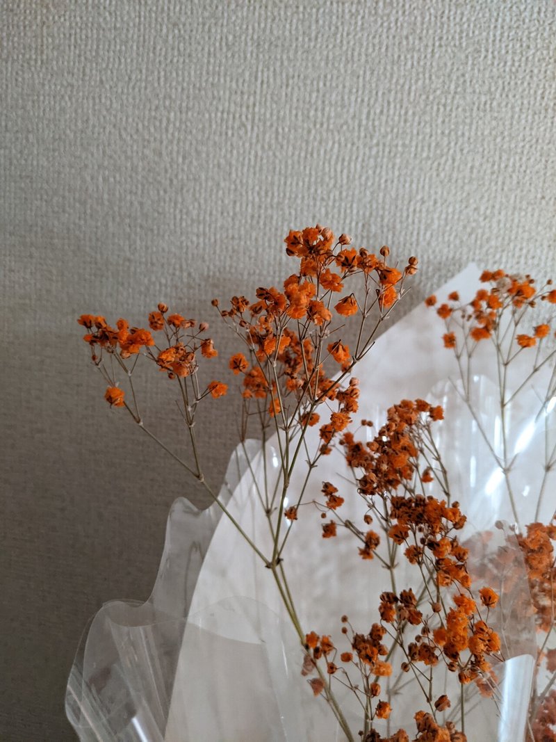 ドライフラワー作成 カスミソウ 色付け ゆういち Note