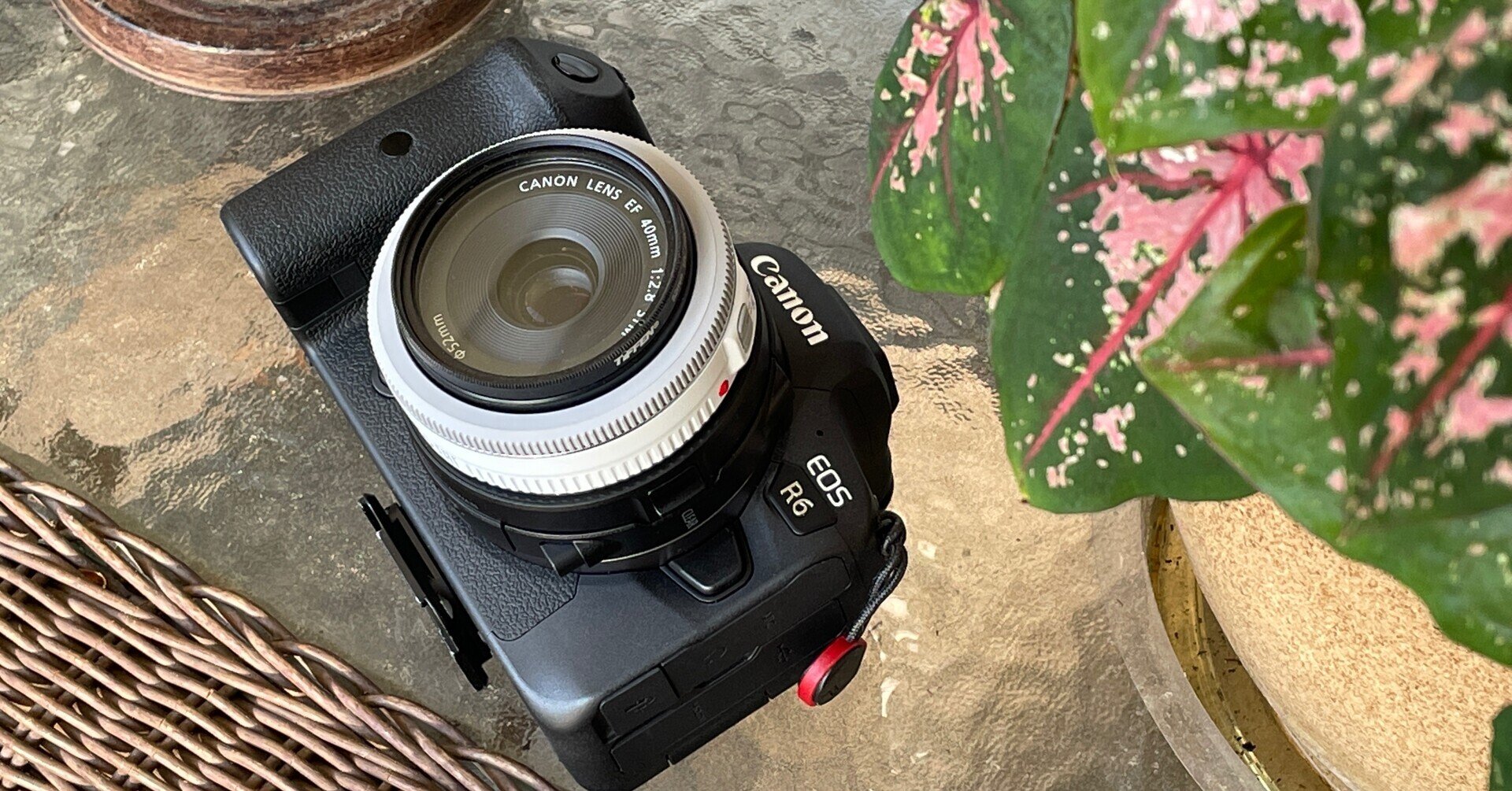 Canon EOS 6D Mark II + EF 40mm f/2.8 レンズ Canon EOS 6D Mark II + EF 40mm f/2.8 レンズ EF40mm F2.8 STM