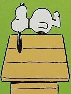 意外な事実 Snoopyの恋愛事情 その 諸見里まり恵 Note