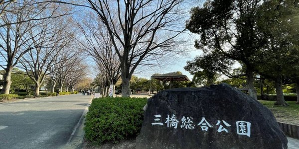 画像15