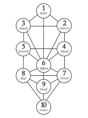 第6章 生命の木｜SEVEN STARS