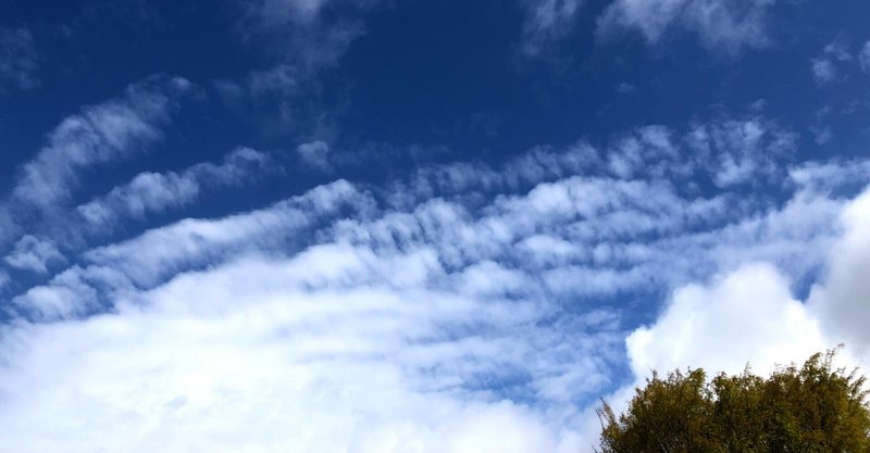 止まない雨はない の新着タグ記事一覧 Note つくる つながる とどける 止まない雨はない の新着タグ記事一覧 Note つくる つながる とどける