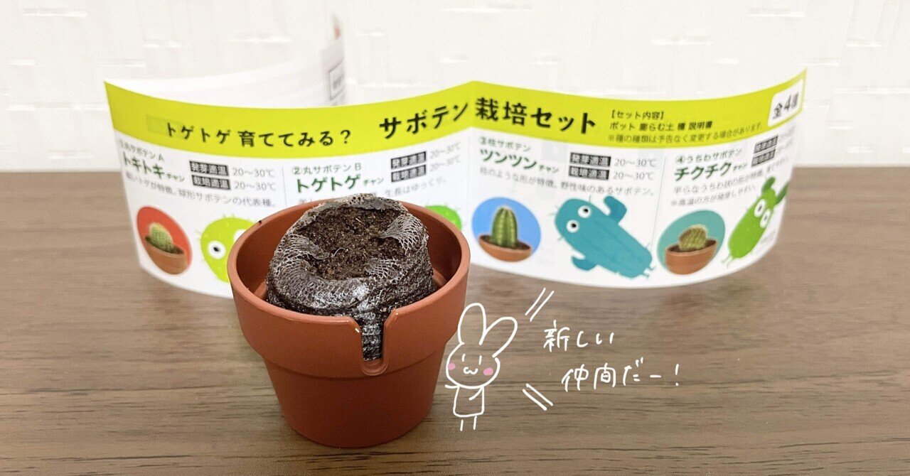 植物も愛情を感じてるはず いとゆき 伊藤維花 Note