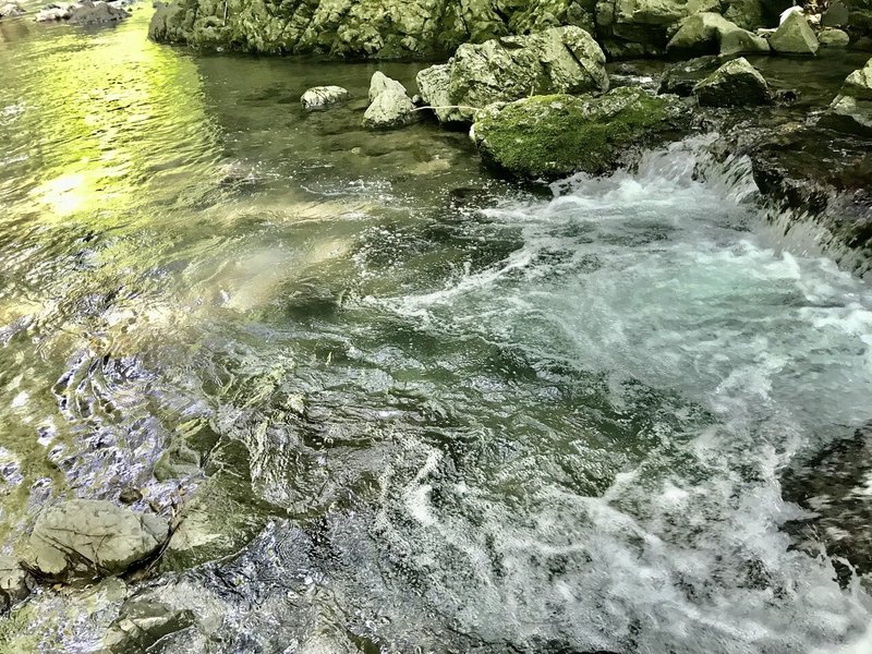 我が家にタニシがやってきた ７７５文字 太田妙子 くつろぎや Note