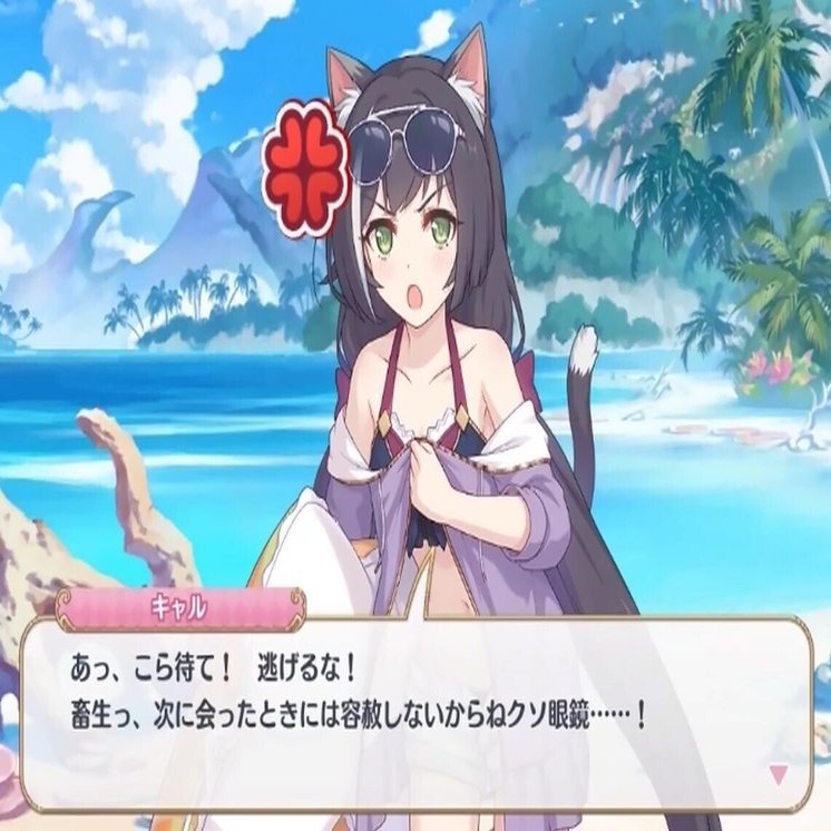 プリコネ 用語集 たまさん Note