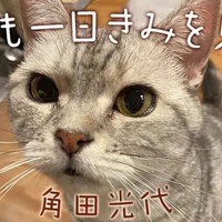 エッセイ連載 角田光代 明日も一日きみを見てる 小説 野性時代