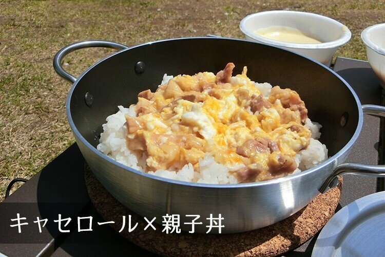 デミプロF_キャセロール18_親子丼_note