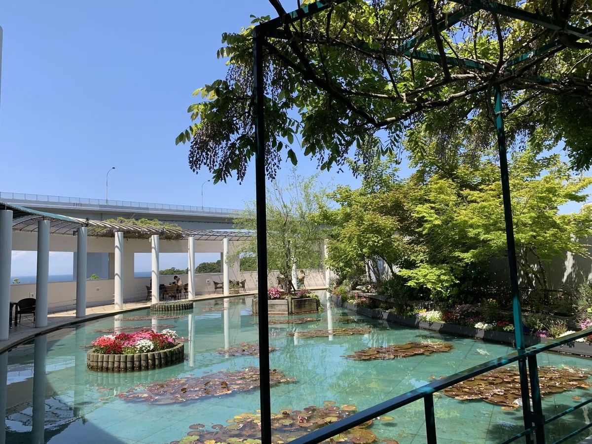 画像2
