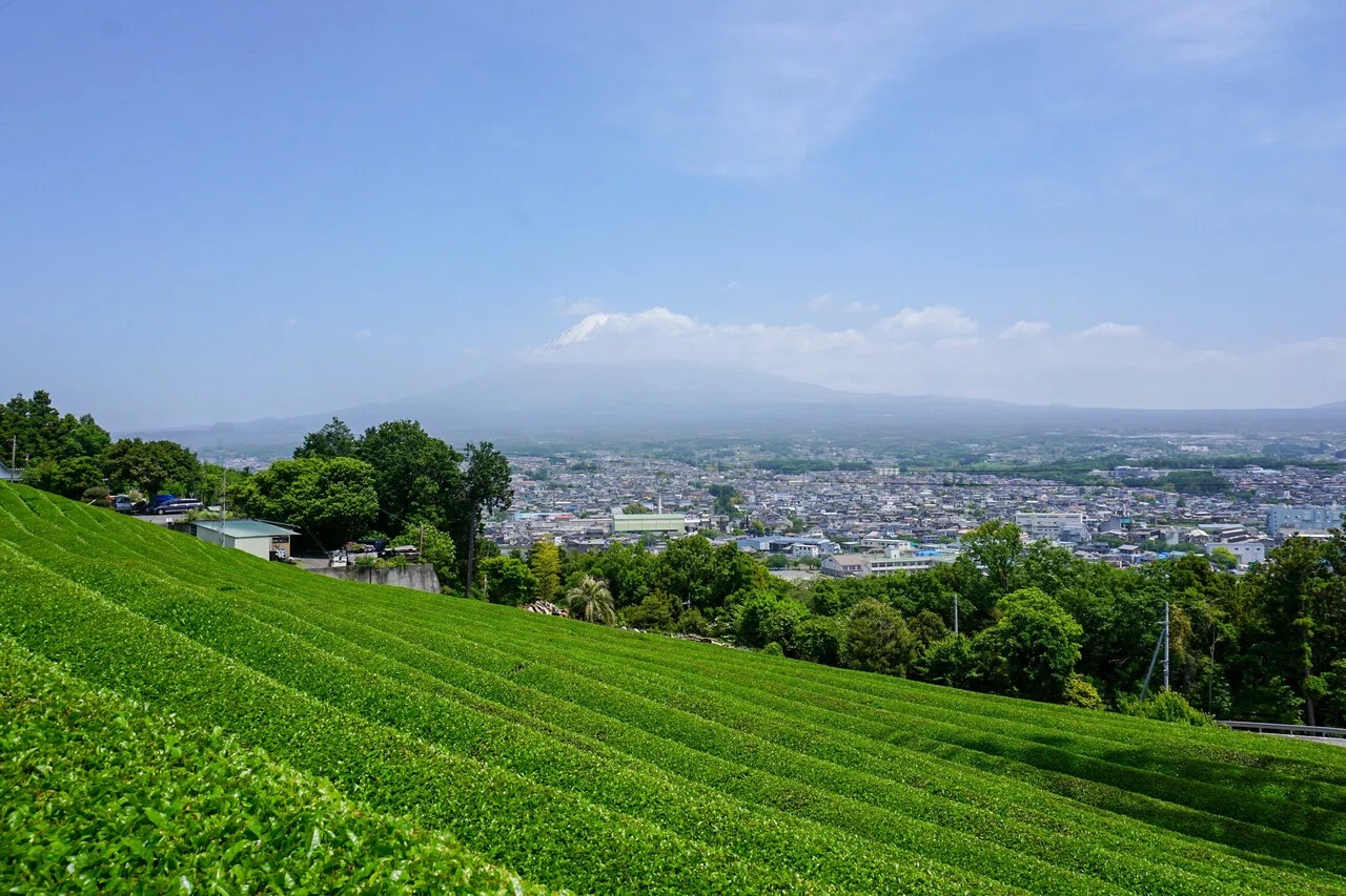 水の綺麗な街、富士宮で買ったお酒｜スルガ銀行サイクリングプロジェクト