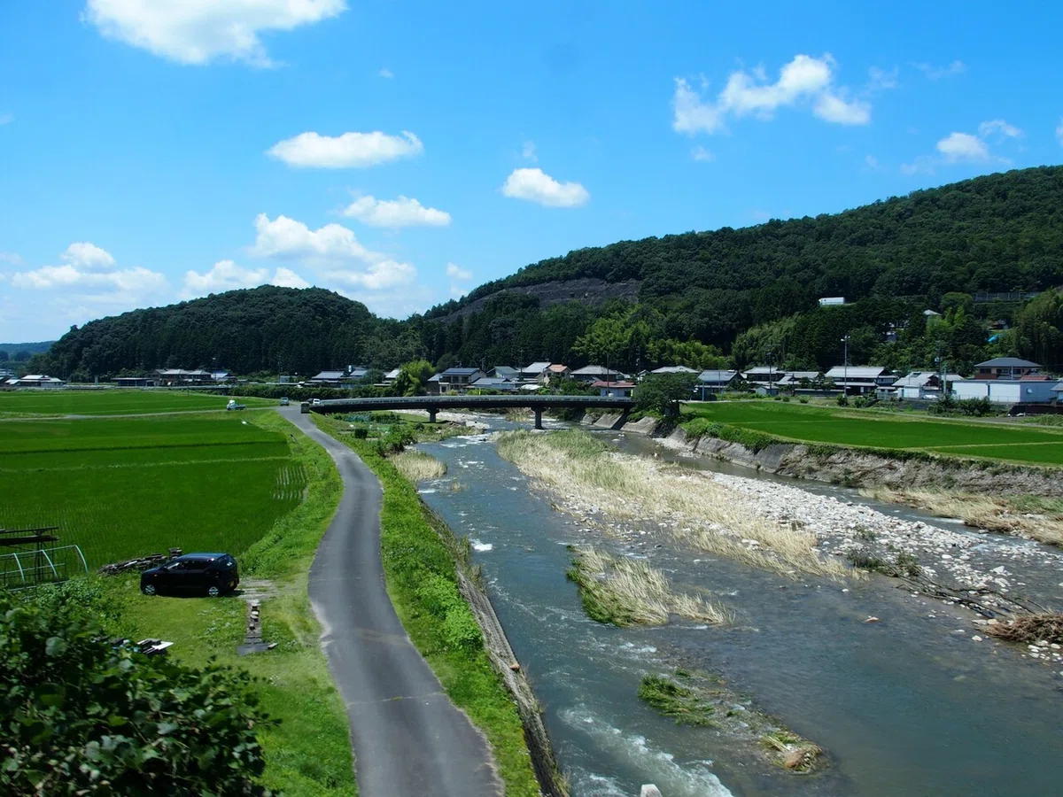 画像15