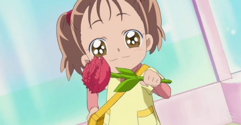 ハートキャッチプリキュア 第14話涙の母の日 家族の笑顔守ります Ryo Note