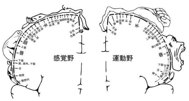 邦画ホラーの巨匠が実写化 ホムンクルス を原作漫画と探る Dj Gandhi Note