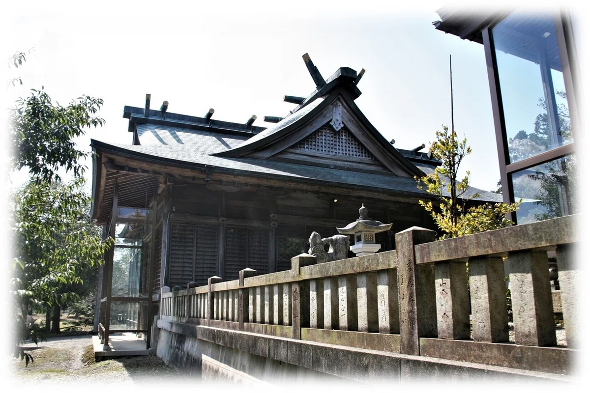 画像13