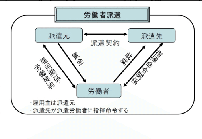 労働法講義 下（労使関係法・雇用関係法Ⅱ） | 渡辺 章 |本