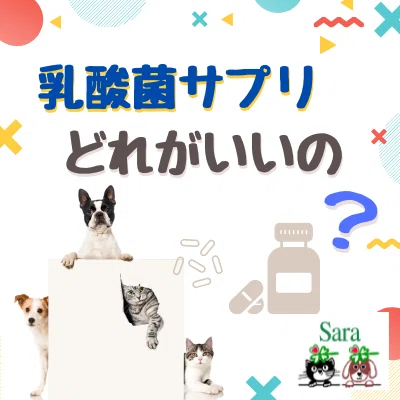 乳酸菌サプリはどうやって選ぶべき おやつ系でも効果ある 原材料 とくに主成分 のチェックのしかた 与えるときはどのくらいの頻度がいいの 犬猫に同じサプリでok などのご質問にお答え ホリスティック獣医sara Note