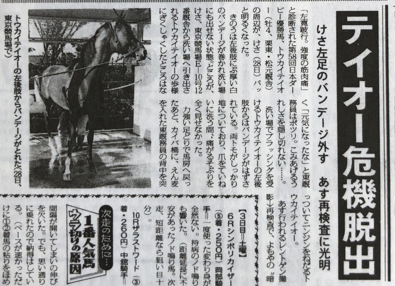 トウカイテイオー 1991年日本ダービー 枠連馬券 現地当たり馬券