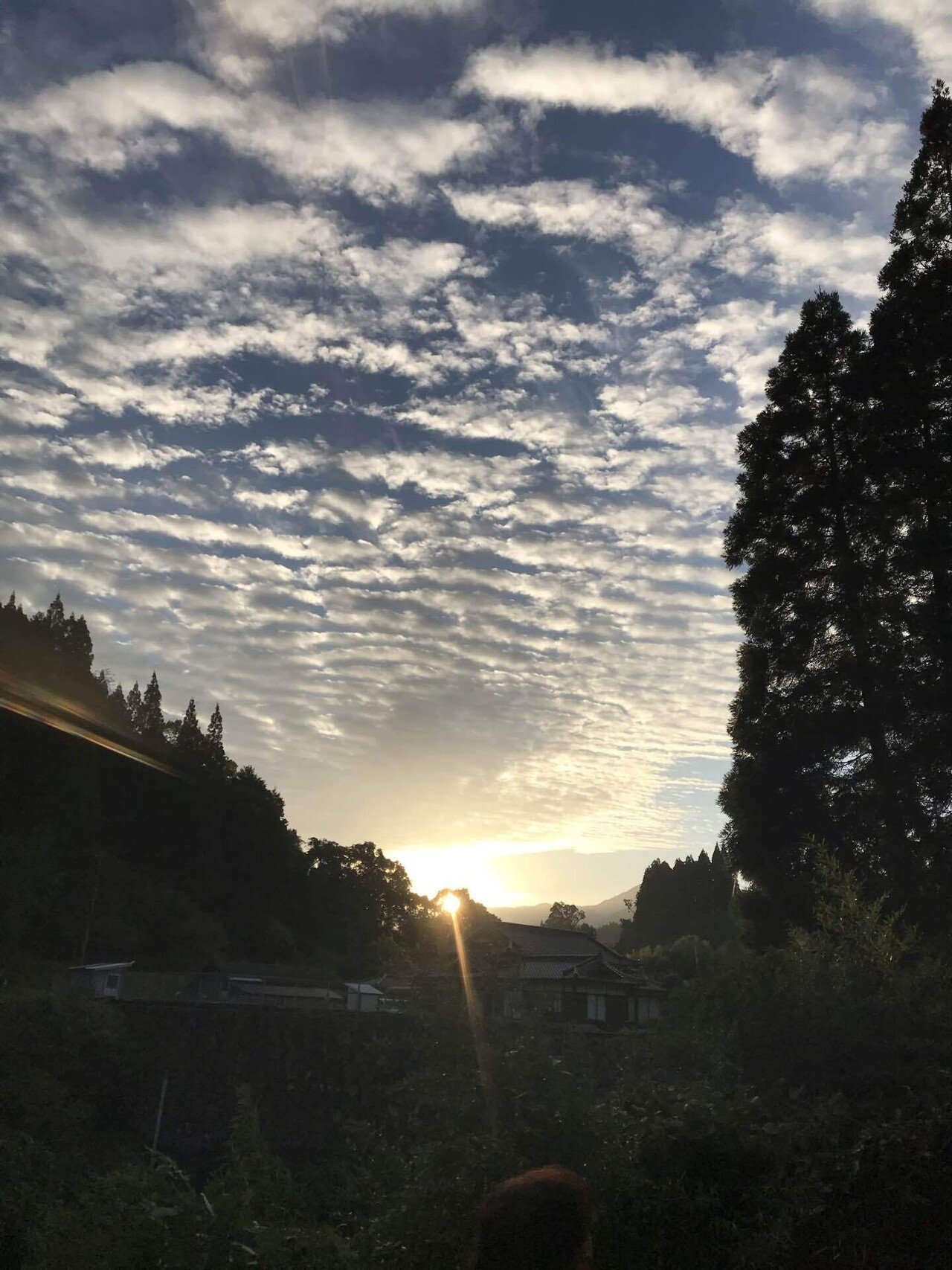 初めて見る蜘蛛の種類」の新着タグ記事一覧|note u2015u2015つくる、つながる