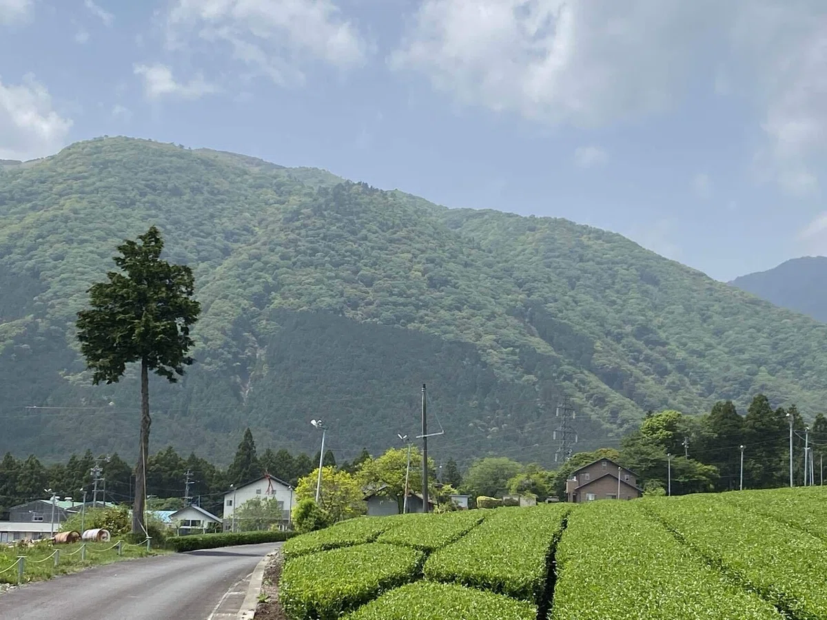 画像7