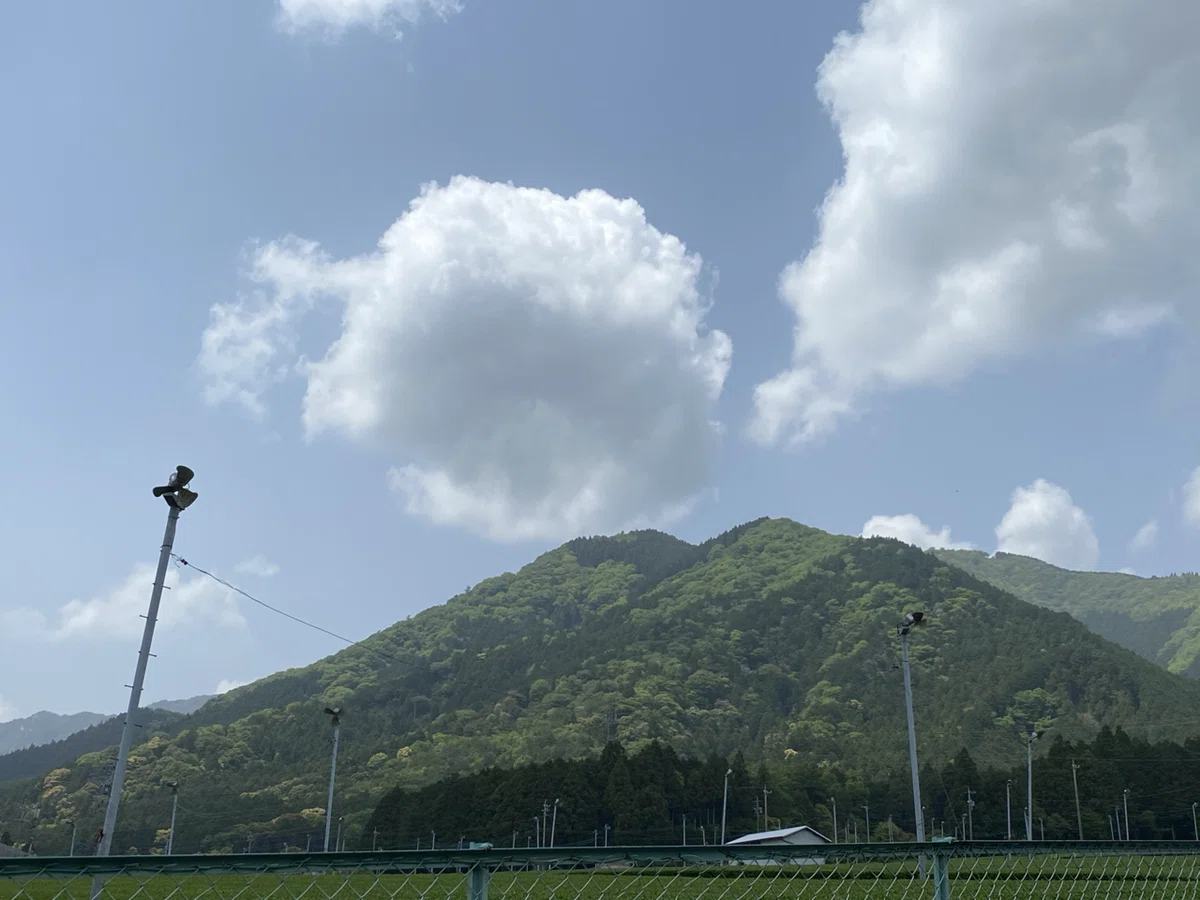 画像14