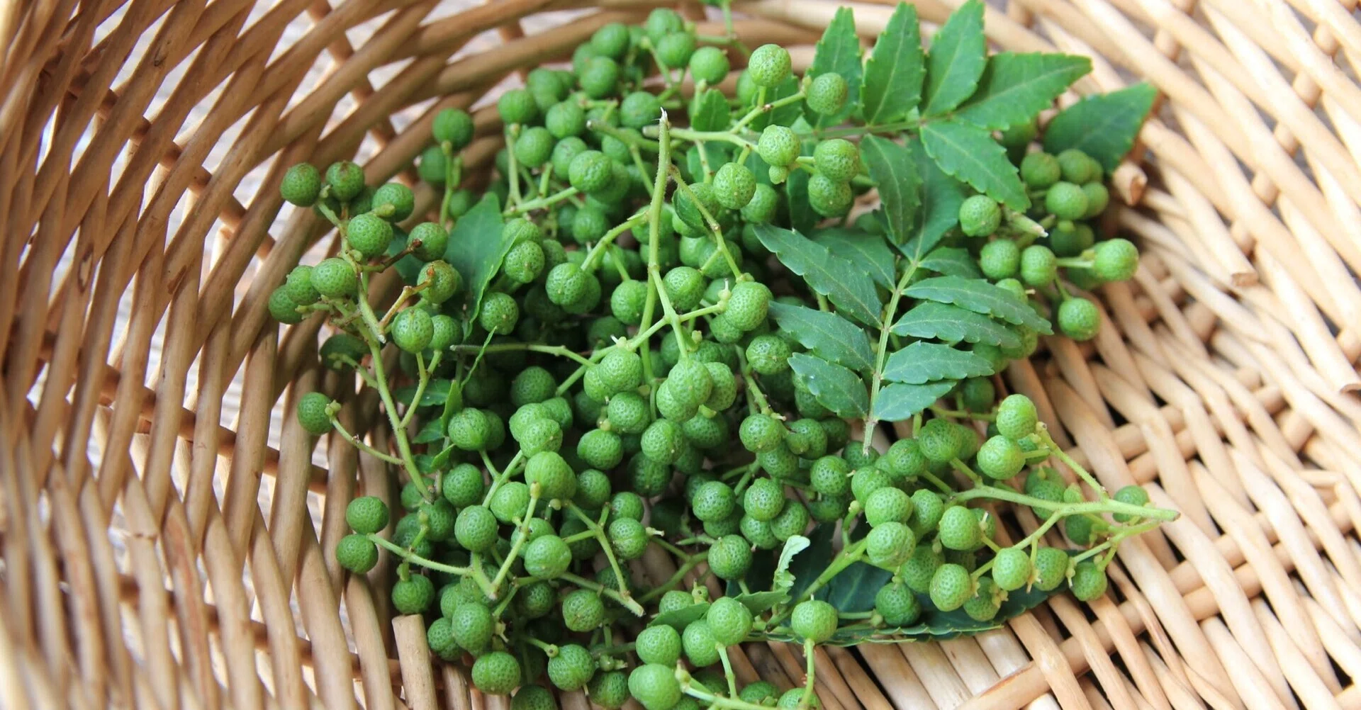 🌿山椒の葉の佃煮🌿｜yuka