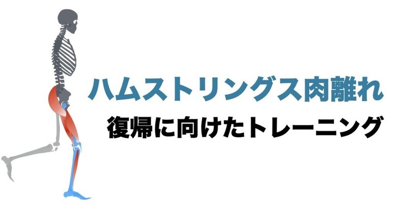 ハムストリングス肉離れ復帰に向けたトレーニング 平 純一朗 Pt Jspo At Note