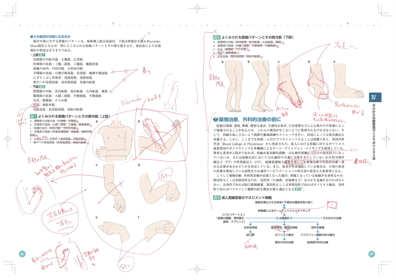 イラストでマスター! 超音波ガイド下神経ブロックのための局所解剖 イラストでマスター! 超音波ガイド下神経ブロックのための局所