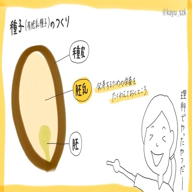 生米からつくる 松の実粥 のレシピ 21 05 11 お粥研究家 鈴木かゆ Note