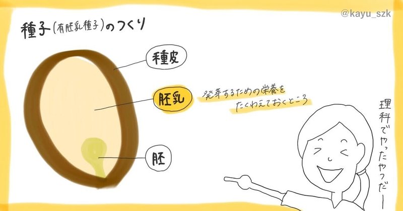生米からつくる 松の実粥 のレシピ 21 05 11 おかゆ研究中 鈴木かゆ Note