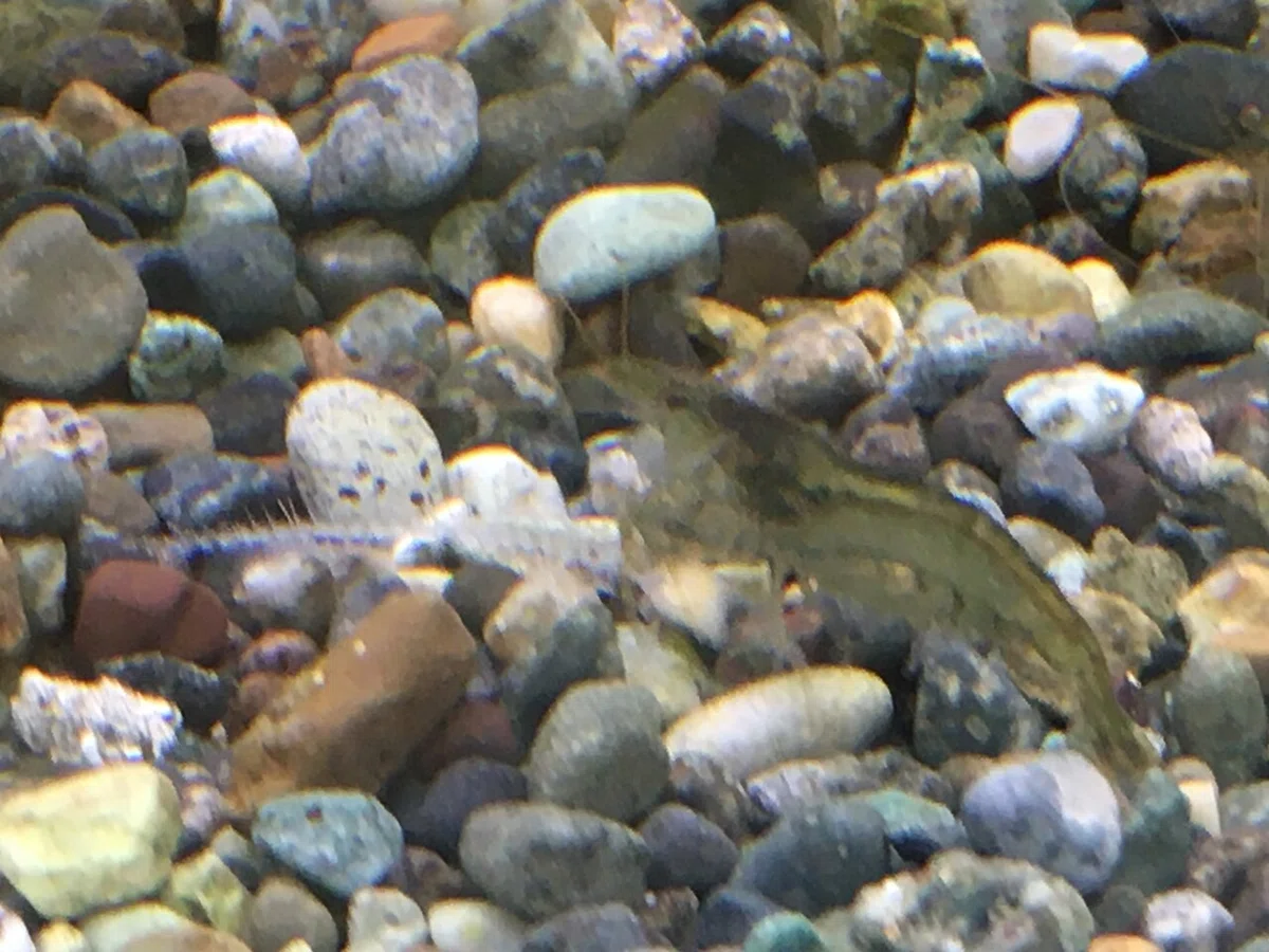 画像11