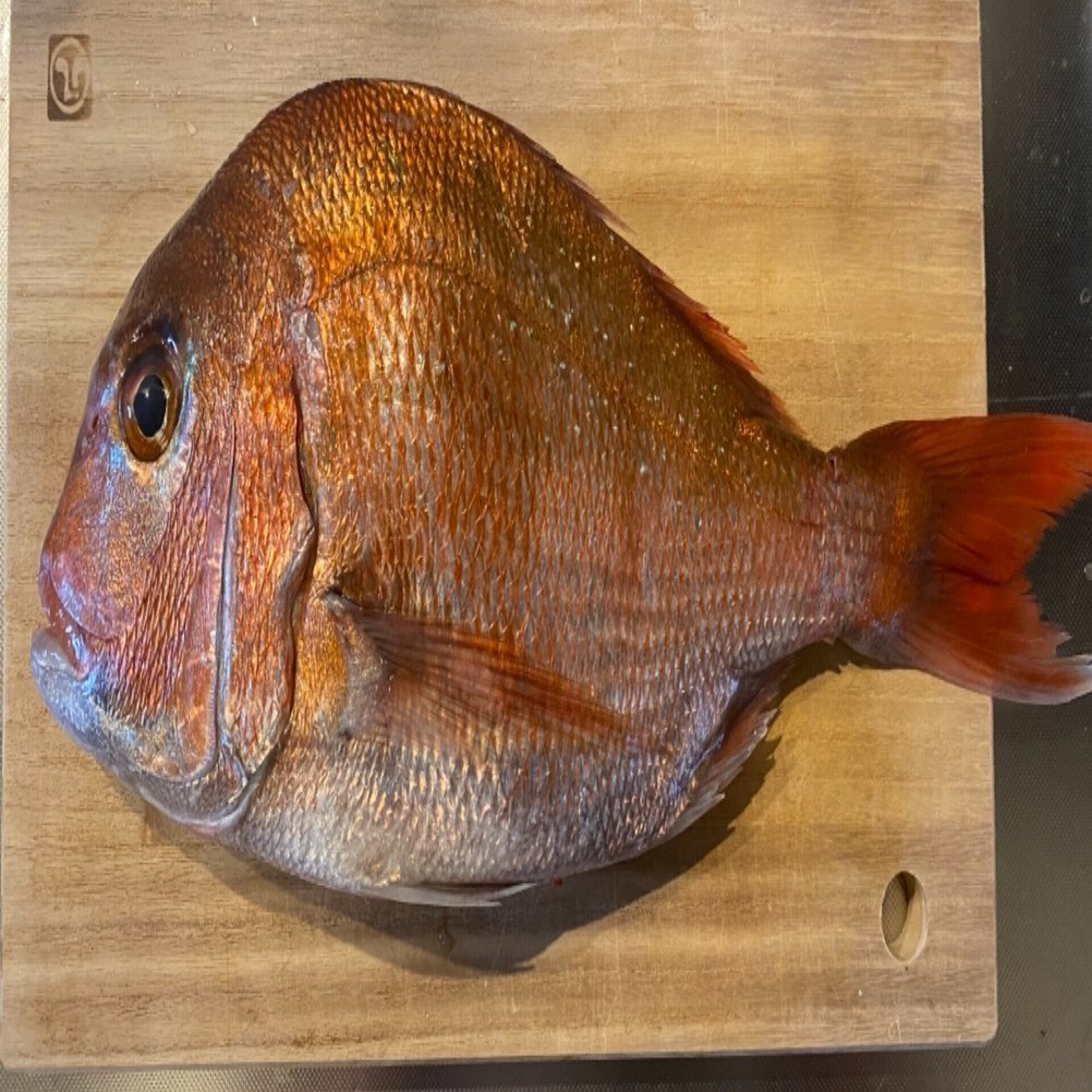 真鯛様 真鯛様 真鯛様 真鯛様 黒鯛師 THEヘチ Selection ZX | 黒鯛工房