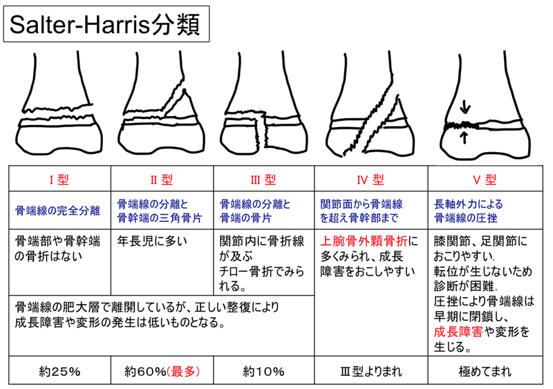 第8回 柔整理論 21 5 10 ひろ先生 Note