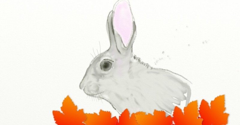 もらってきたうさぎがねずみに囲まれてパニクった話 ゆかさくら Note
