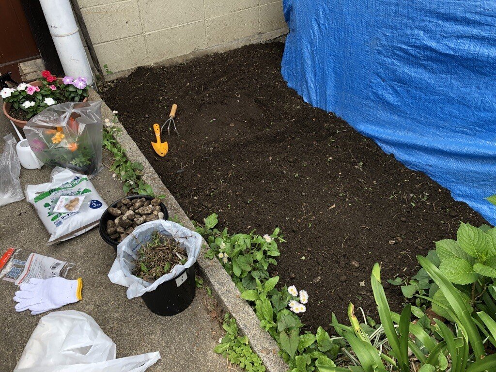 急遽 花壇を作りました 京都コレカラ ひきこもり 生きづらさの当事者団体です Note