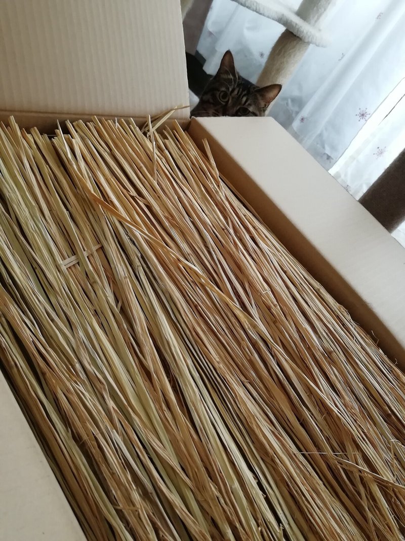 手作り猫ちぐらからの藁 わら に夢中 昔の人は偉かった その 猫又 Note