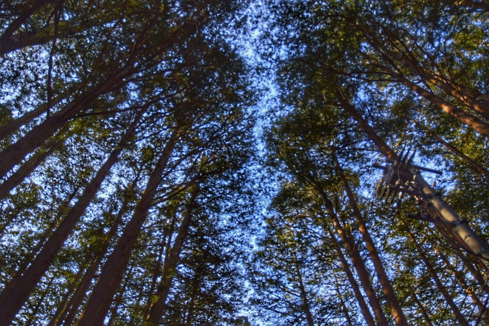 人間関係はいらない 人付き合いがめんどくさいと思っている人へ 竜崎大輝 Note