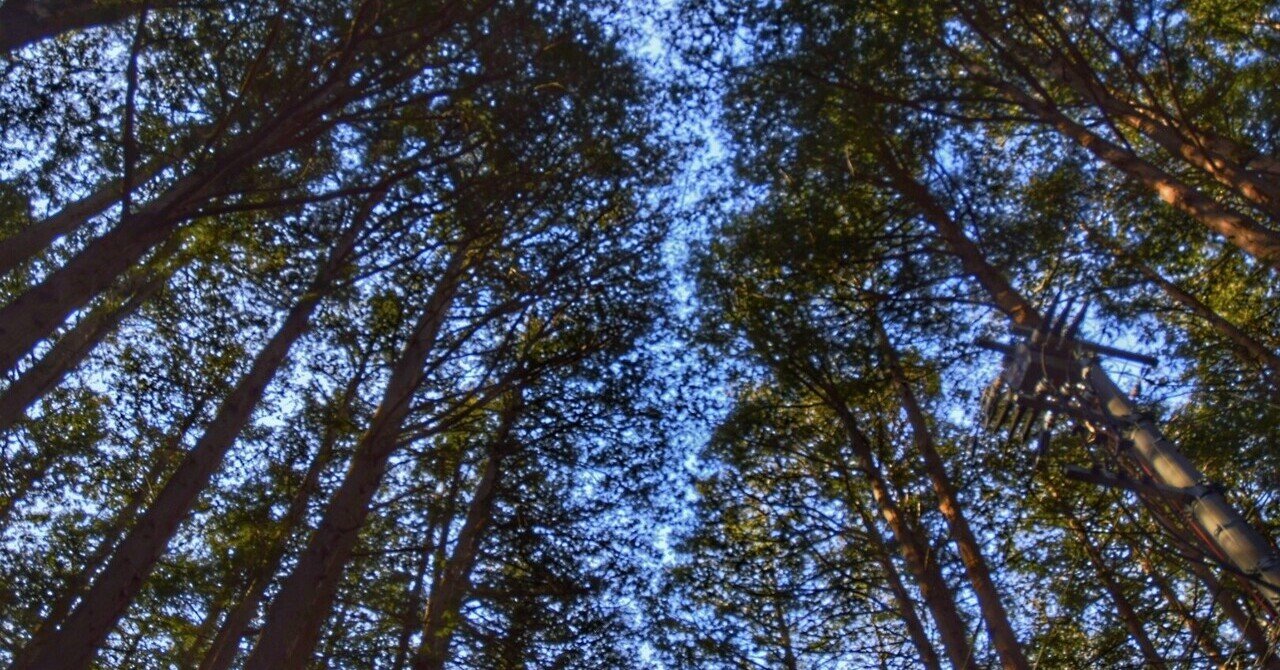 人間関係はいらない 人付き合いがめんどくさいと思っている人へ 竜崎大輝 Note