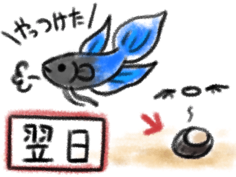 ベタにメロメロアクア記録 7 つみれ Note ベタにメロメロアクア記録 7 つみれ Note