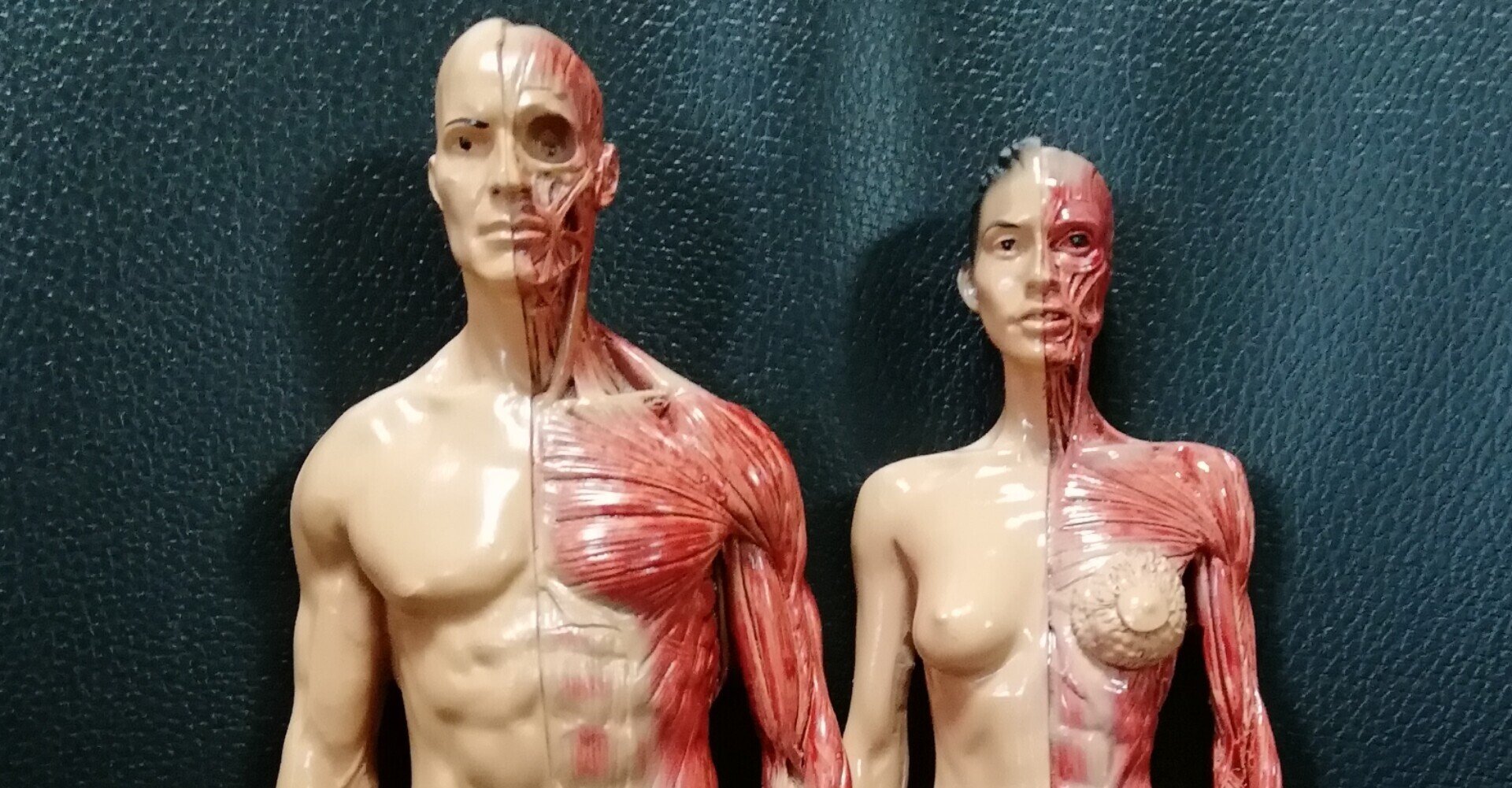 巨人」｜消雲堂