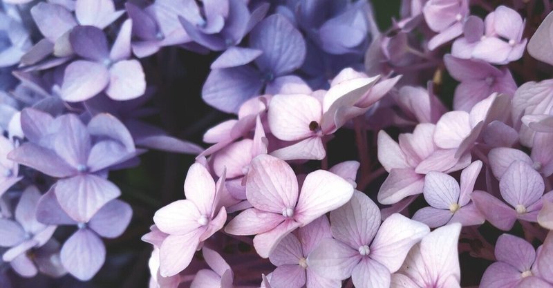 石川恵美子 Note