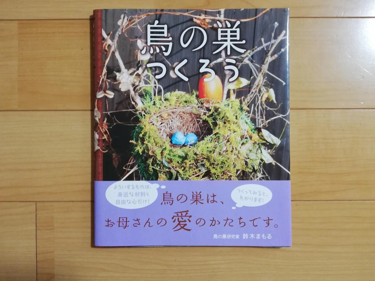 鳥の巣は、鳥のお家なのかな？愛鳥週間に考えてみよう。｜一ノ瀬雅美