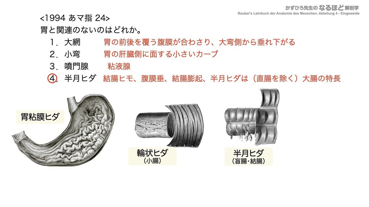 【徹底的国試対策】4-2 消化器系 - 胃・小腸.128