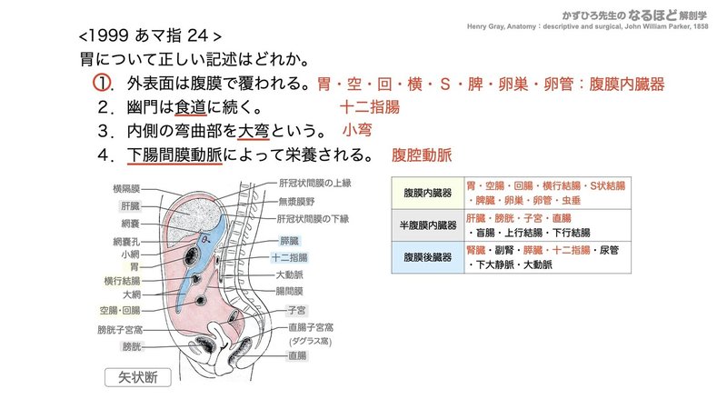 【徹底的国試対策】4-2 消化器系 - 胃・小腸.129