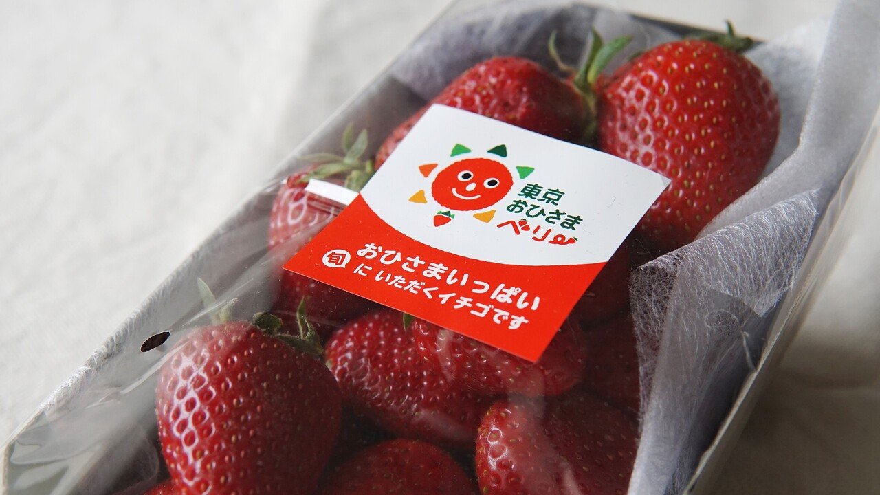 露地イチゴは今が旬！東京生まれの「東京おひさまベリー」｜JA全農