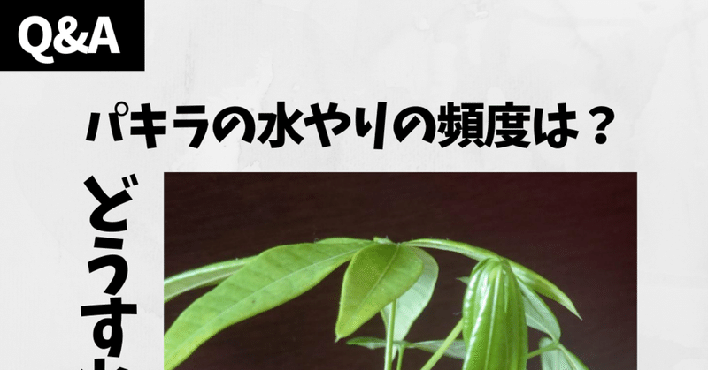 我が家のパキラちゃん の新着タグ記事一覧 Note つくる つながる とどける 我が家のパキラちゃん の新着タグ記事一覧 Note つくる つながる とどける