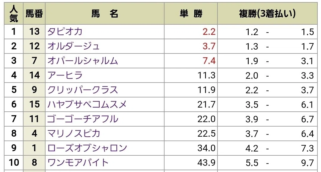 二強レースの買い方を考察 【Paddockシート的馬券回顧】｜カステラ