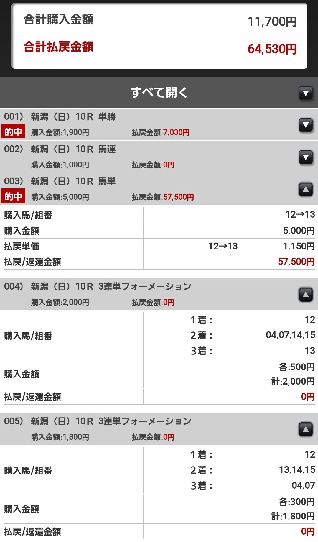 二強レースの買い方を考察 【Paddockシート的馬券回顧】｜カステラ