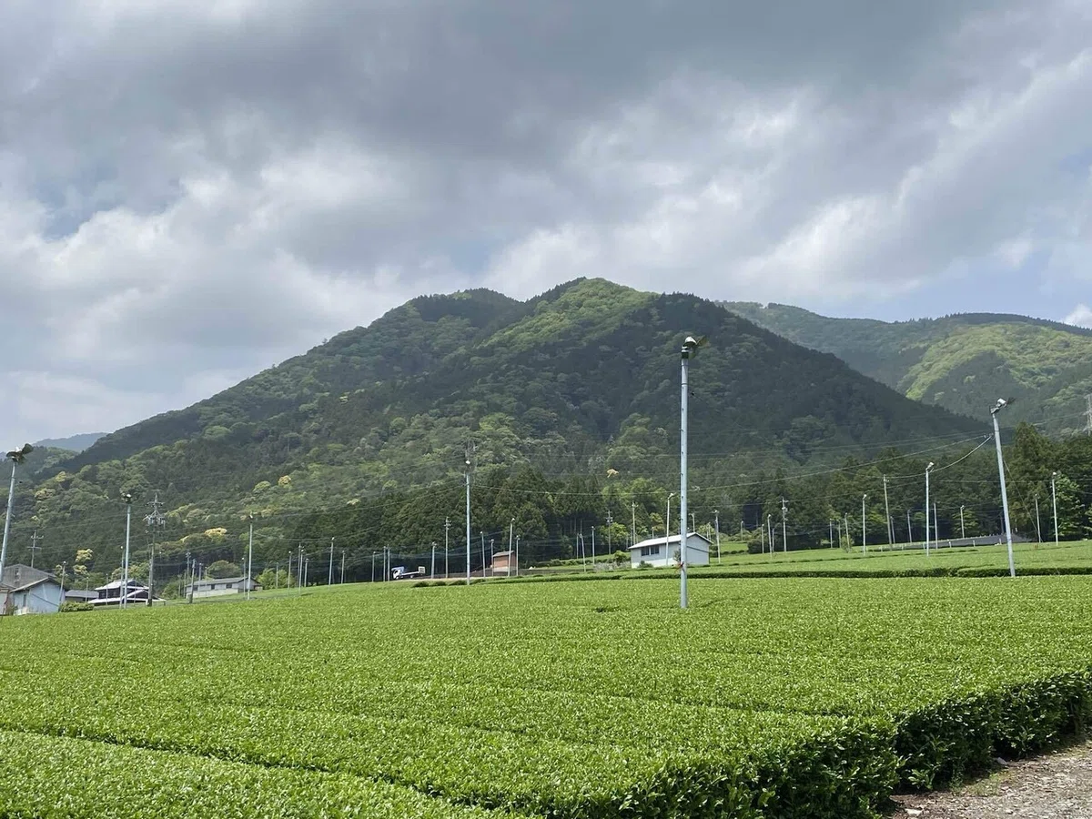 画像10
