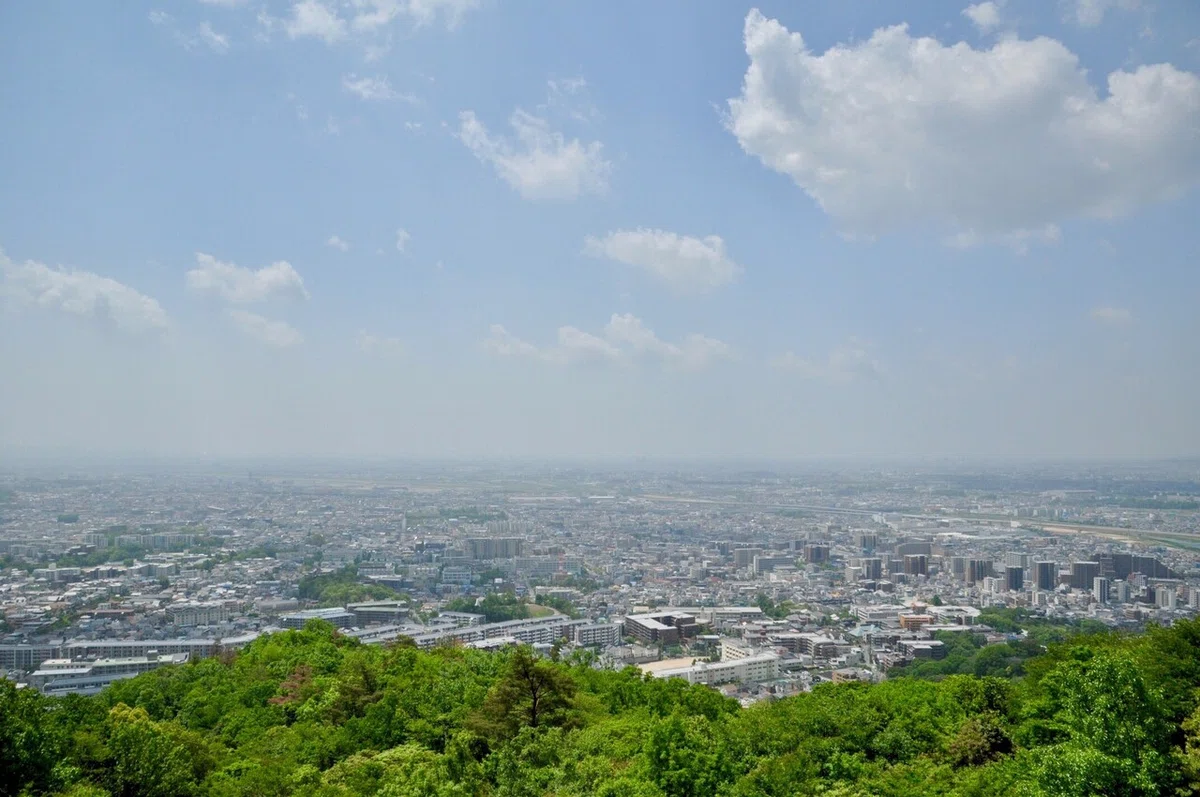 画像6